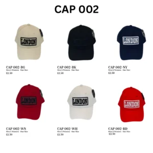 ANS-CAP-002 London Boxed Logo Street Cap